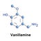 Vanillamine vector molecular structure