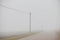 Vanishing road in fog, fall season, poor visibility