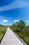 Vanishing wooden footpath through bog area