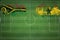 Vanuatu vs Ghana Soccer Match, national colors, national flags, soccer field, football game, Copy space