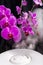 Vapor from humidifier in fronf of orchid flowers