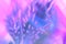 Vaporwave style texture background: neon pink funky paint texture