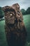 VAPRIO D`ADDA, ITALY - MAY 05 2019: Owls Festival, owl sculptures made with chainsaws, little cute owl - intentional filtered