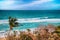 Varadero beach with tyrquis sea and ocean. There is a lot of green palms. Blue sky is in the background. It is beautiful natural