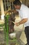 VARADERO, CUBA - JANUARY 05, 2018: The man squeezes the sugar cane juice at the Iberostar Varadero Hotel in Cuba