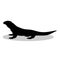 Varan lizard reptile black silhouette animal