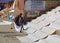 Varanasi ghats people washing clothes on the street on the banks of the river Ganges