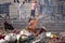 Varanasi, India, 16 november, 2019 / Hinduist cremation pyre in Manikarnika Ghat in front of the Ganges river in Varanasi,  India