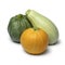 Variation of fresh homegrown zucchini close up on white background