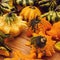 Variaty of strange decorative Haloween pumpkins on seasonal farmer`s market