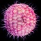 Varicella zoster - Herpes Zoster - Herpes Virus - High details - 3D Rendering