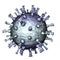 Varicella zoster virus illustration