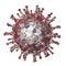 Varicella zoster virus illustration