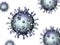 Varicella zoster virus illustration