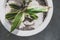 Variegated cordyline plant indoor in white pot next to sunny window