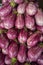 Variegated Purple Eggplant