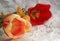 variegated and red tulips with a sprig of miosa on a light paper background