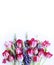 Variegated white and pink tulips and purple lupines on a white background.