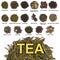 Varieties of Oriental Tea