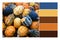 A variety autumn decoration pumpkin in a Color palette swatches. Combination of color scheme inspired by autumn