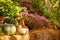 A variety of autumn flowers in ceramic pots and vegetables in baskets stand on a shelf covered with burlap and straw.