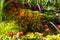 A variety of autumn flowers in ceramic pots and vegetables in baskets stand on a shelf covered with burlap and straw.