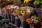 Variety of autumn seasonal beautiful flowers bouquets at the greek flower shop in October