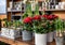 Variety of beautiful potted plants such as kalanchoe blossfeldiana, red begonia elatior baladin, hyacinth and daffodil