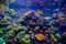 A variety of bright fish move against the backdrop of coral polyps and in the underwater world of a large aquarium, Singapore