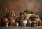 Variety of cacti and succulents in organic clay pots. Generative AI. Ecological lifestyle