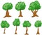 Variety of Cartoon Trees