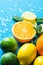 Variety of Citrus Organic Fruits Whole and Halved Oranges, Sliced Lemons Lime Fresh Mint on Light Blue Background with Water Drops