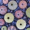 Variety of colorful sea urchins on black pebles beach