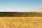 Variety of colors in the hills of Montalcino, Siena, Tuscany