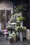 Variety of colors near the Liberty store in London. Large bouquets in tin vases. Pink roses