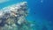 A variety of coral fish swimming in transparent water