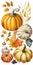 Variety of decorative pumpkins illustration, Thanksgiving concept