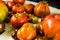 Variety of different tomatos