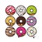 Variety of donuts isolated vector illustration