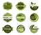 Variety of ecological food stickers