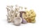 Variety of edible mushrooms