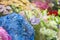 A variety of flowers in the window of a flower shop. Showcase. Stylish bouquets. Small business. Behind the glass. Selective focus