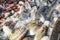 A variety of fresh fish on the counter of the fish market in the port city. Morning catch. Close-up