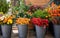 Variety of freshly cut autumn seasonal flowers - chrysanthemums, orange and red chili peppers, physalis peruviana, carthamus