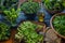 A variety of freshly picked leafy greens ready for salad making