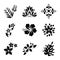 Variety of Hawaiian tribal symbols