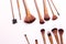 Variety Makeup Brushes