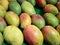 Variety of mangoes in india
