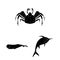 A variety of marine animals black icons in set collection for design. Fish and shellfish vector symbol stock web