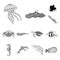 A variety of marine animals monochrome icons in set collection for design. Fish and shellfish vector symbol stock web